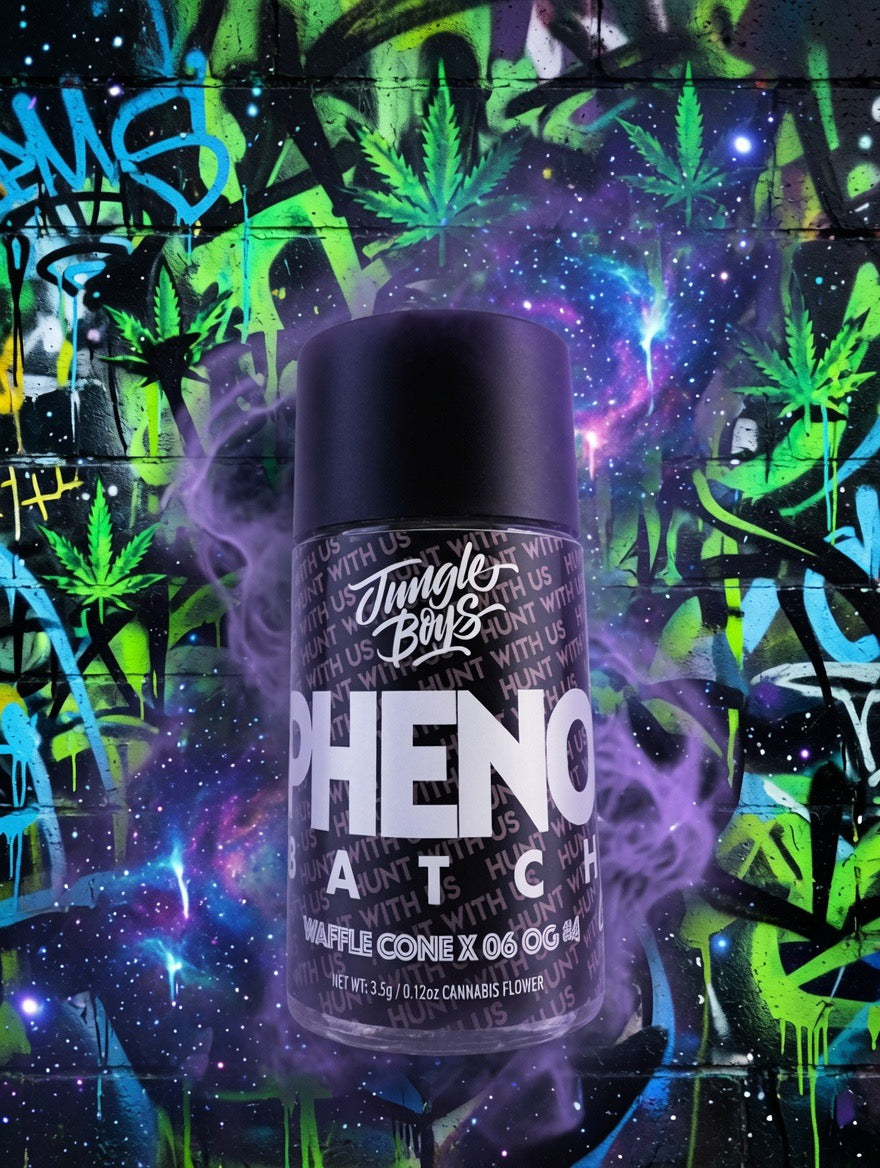 Jungle Boys 🔥Pheno Batch Waffle Cone x 06 OG #5